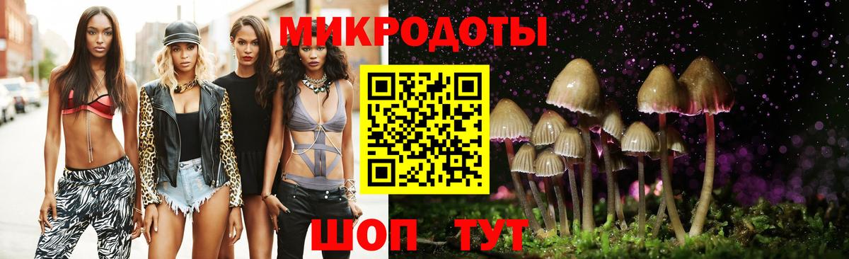 Галлюциногенные грибы Psilocybe  Вход с VPN  Черкесск 