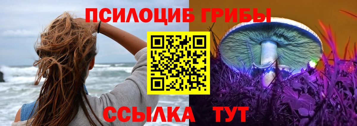 Галлюциногенные грибы прущие грибы Черкесск